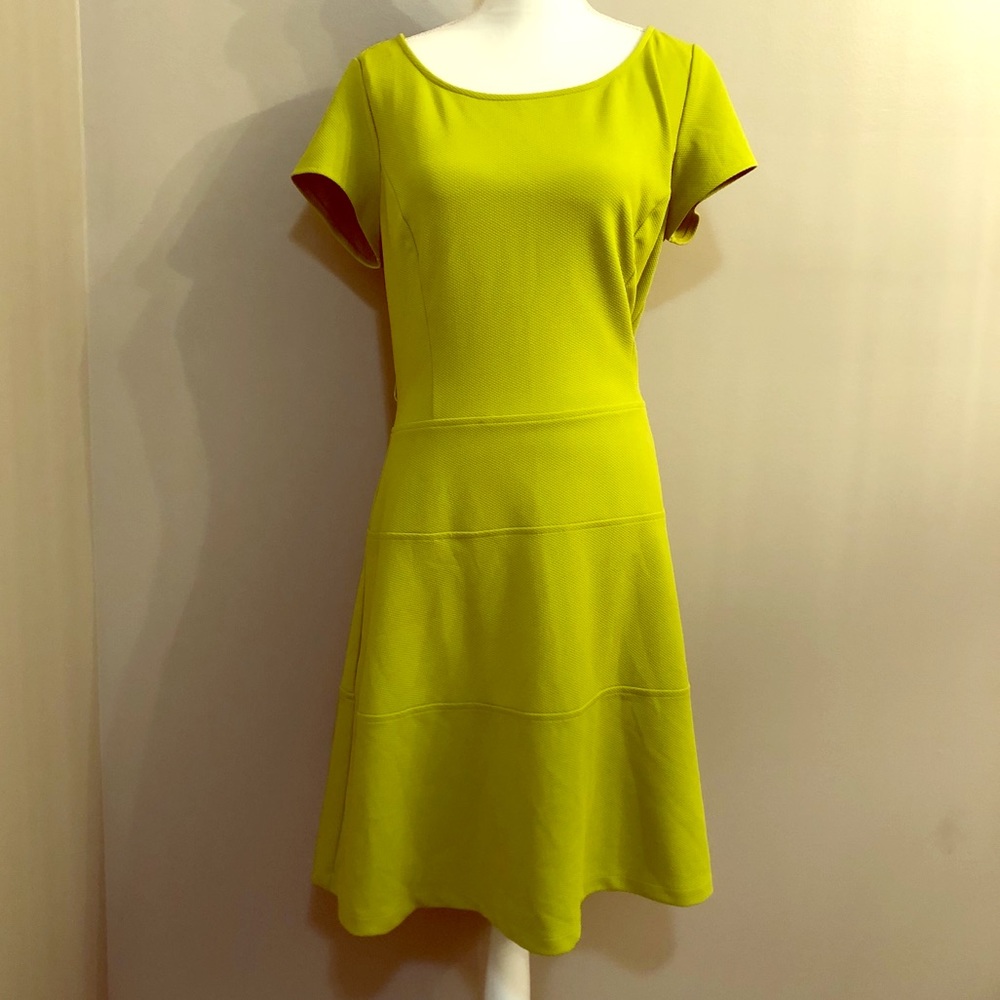 Glamour Petite Green Dress